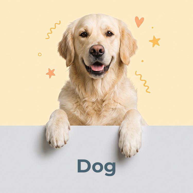 Avont for Dogs