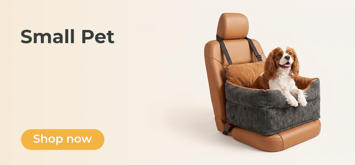 Dog Beds & Car Seats